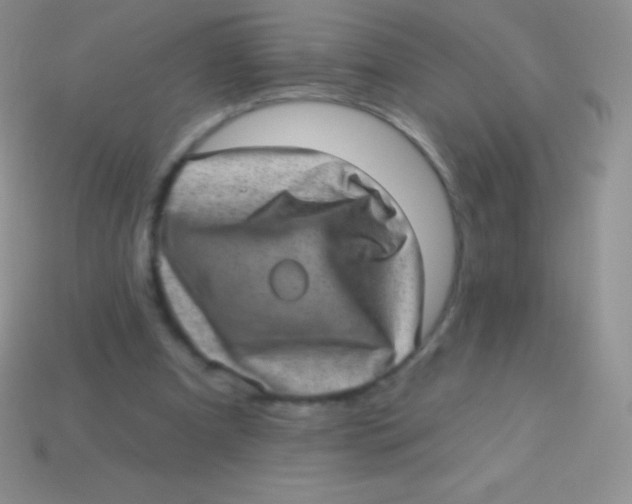 X0000113630297200910162021