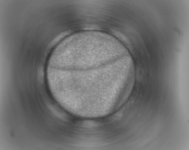 X0000113630298200910162021