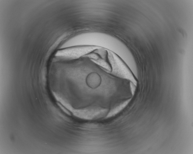 X0000113630300200910162021