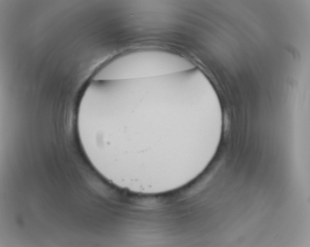 X0000113630301200910162021