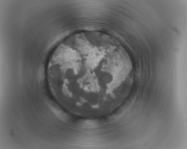 X0000113630303200910162021