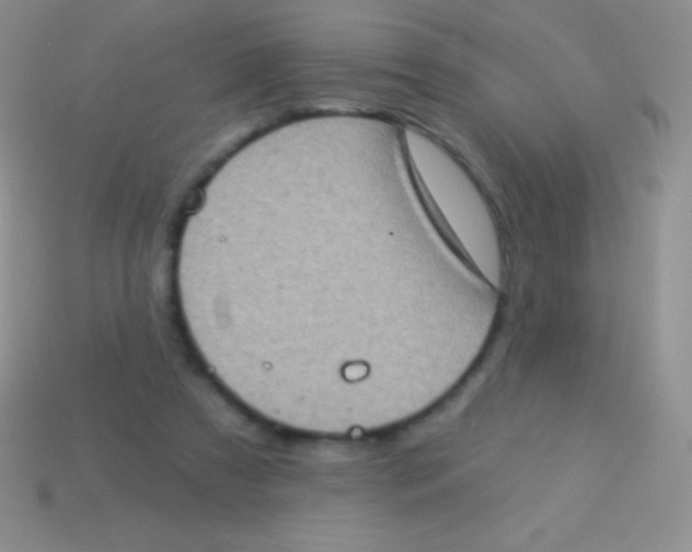 X0000113630305200910162021