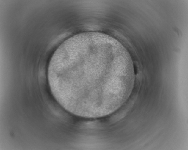 X0000113630306200910162021