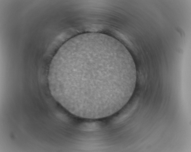 X0000113630307200910162021