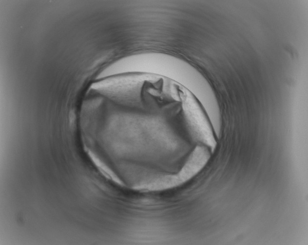 X0000113630308200910162021