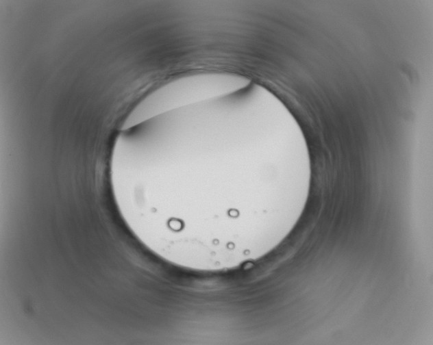 X0000113630309200910162021