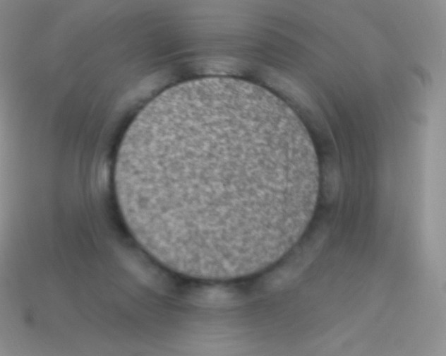 X0000113630310200910162021