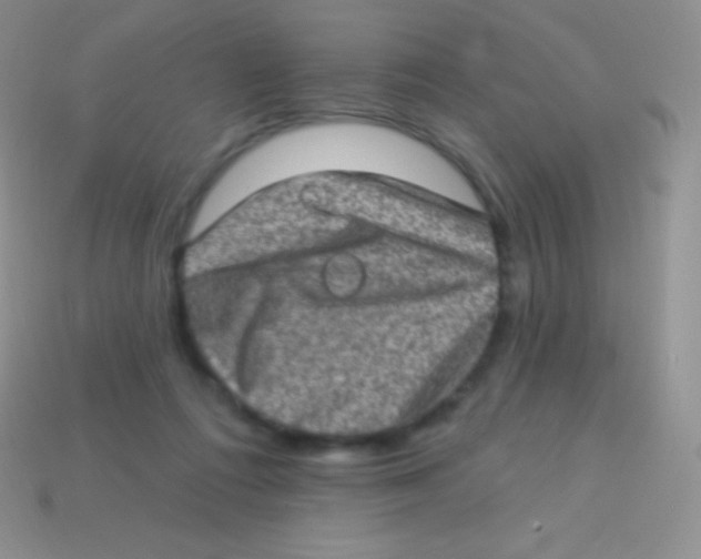 X0000113630312200910162021