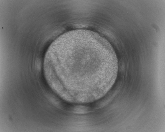 X0000113630315200910162021