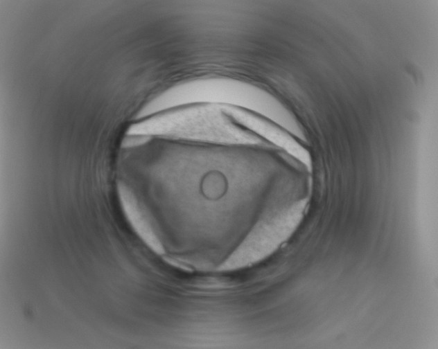 X0000113630316200910162021