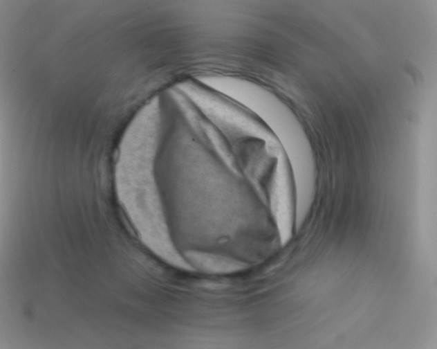 X0000113630317200910162021