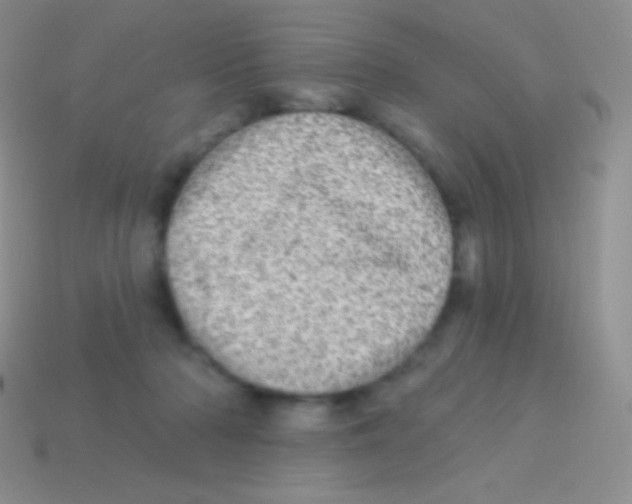 X0000113630318200910162021