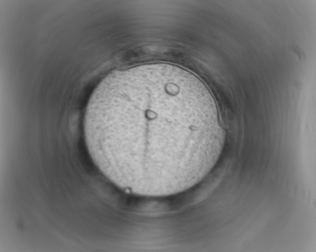 X0000113630319200910162021