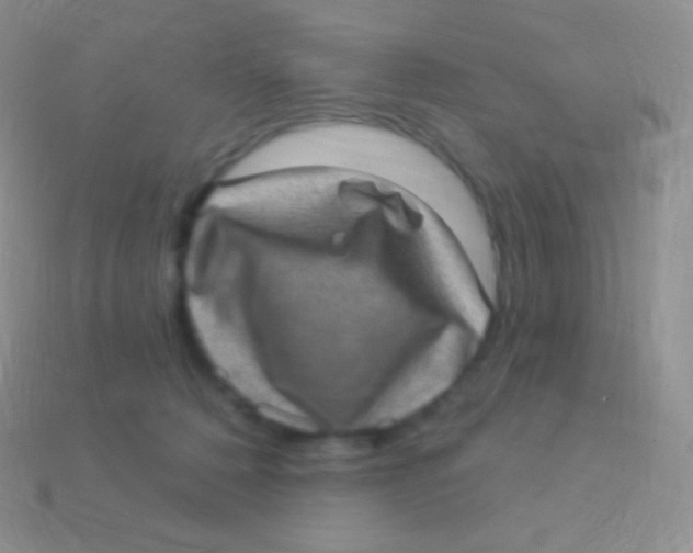 X0000113630320200910162021