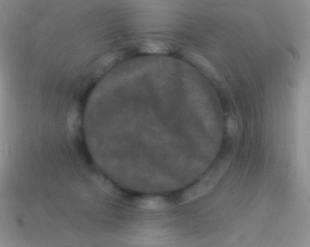 X0000113630322200910162021