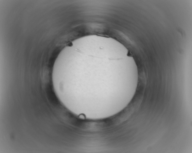 X0000113630323200910162021