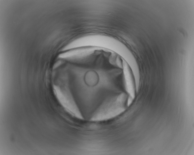 X0000113630325200910162021