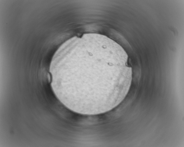 X0000113630329200910162021