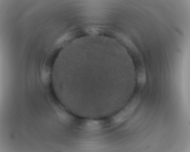 X0000113630332200910162021