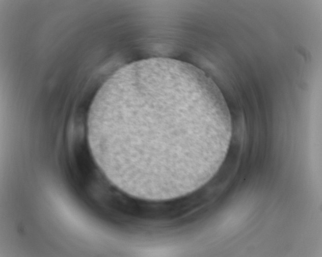 X0000113630334200910162021