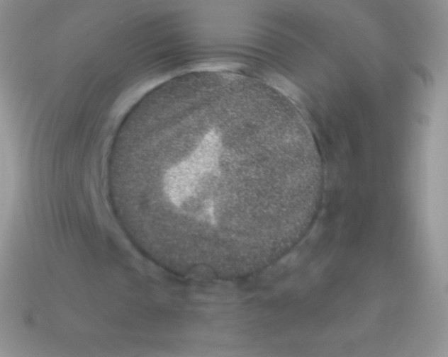 X0000113630337200910162020