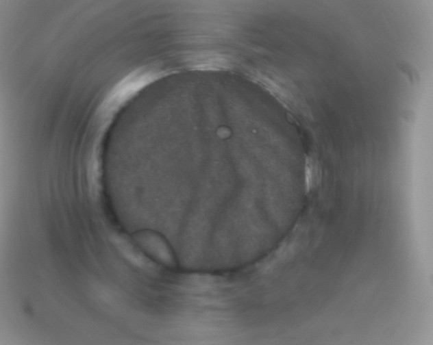 X0000113630339200910162020