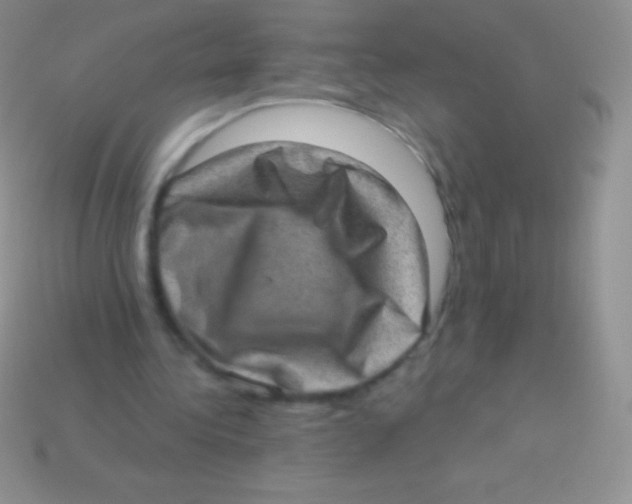 X0000113630340200910162020