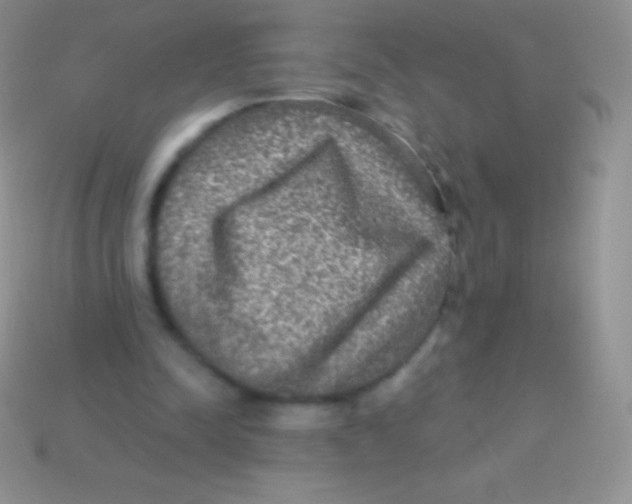 X0000113630342200910162020