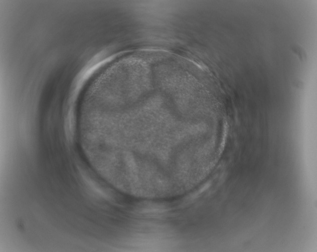 X0000113630343200910162020