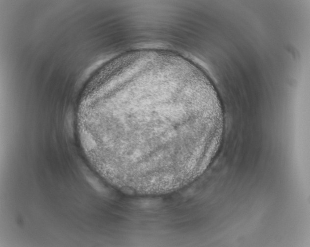 X0000113630345200910162020