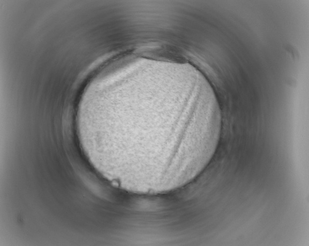 X0000113630346200910162020