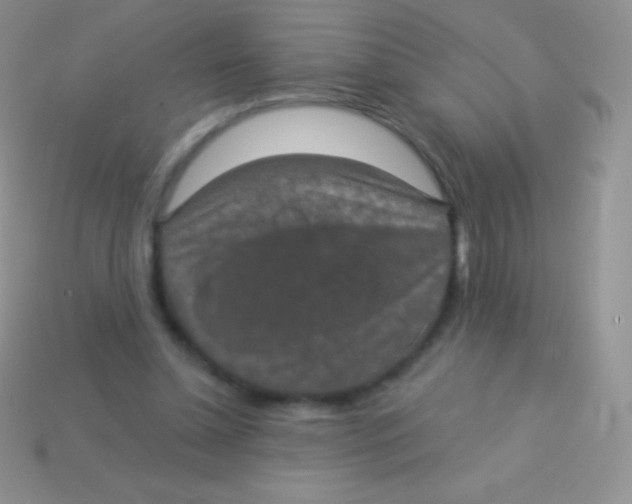 X0000113630348200910162020