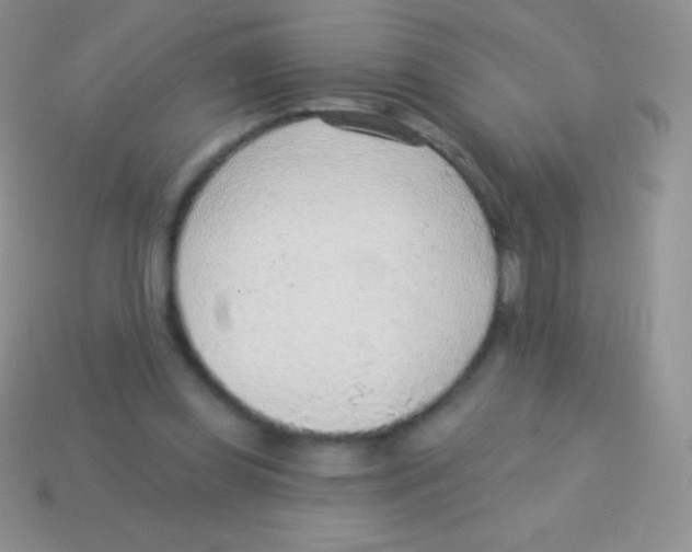 X0000113630349200910162020