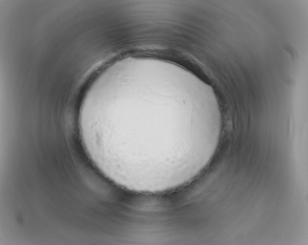 X0000113630351200910162021