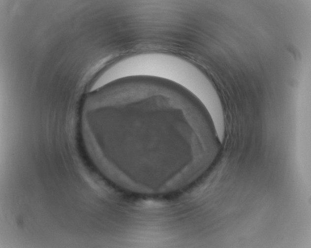 X0000113630352200910162021