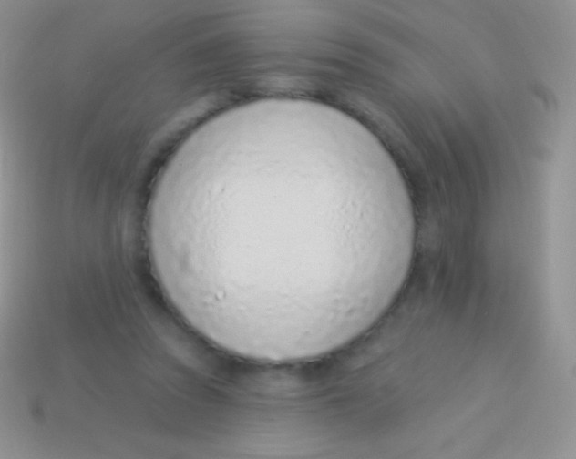 X0000113630353200910162021