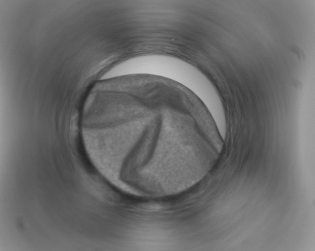 X0000113630356200910162021