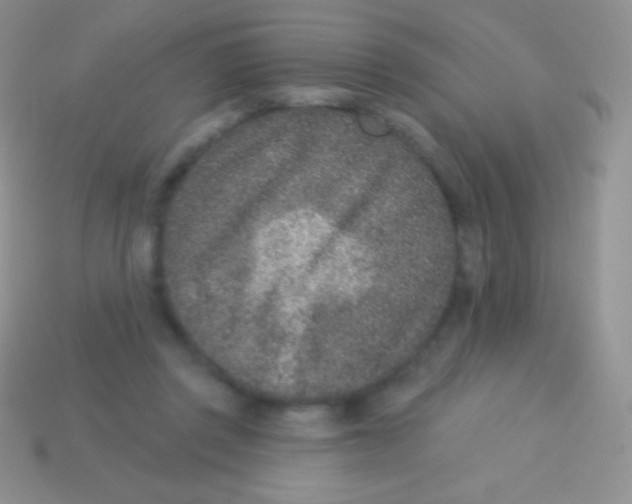 X0000113630357200910162021