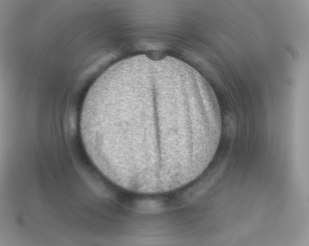 X0000113630358200910162021