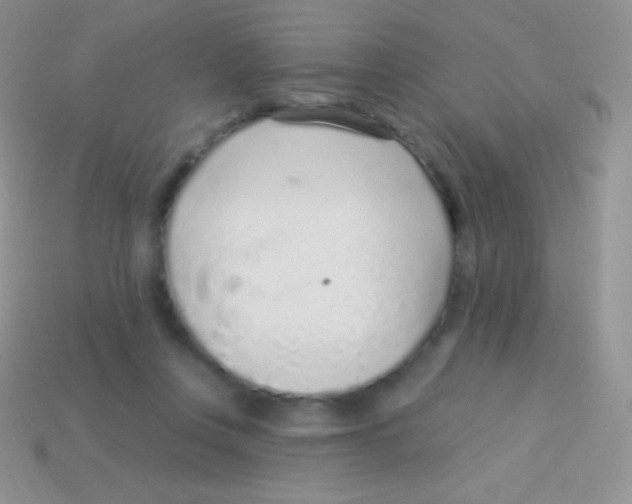 X0000113630359200910162021