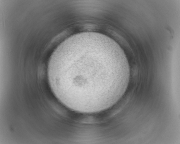 X0000113630361200910162021