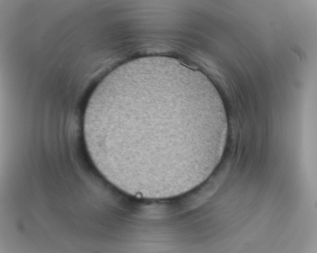 X0000113630362200910162021