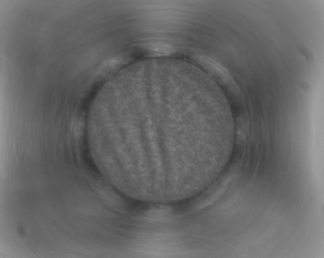 X0000113630369200910162021