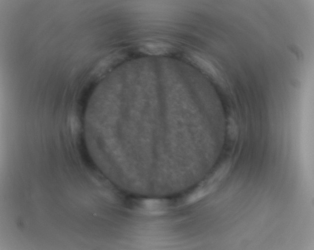 X0000113630371200910162021