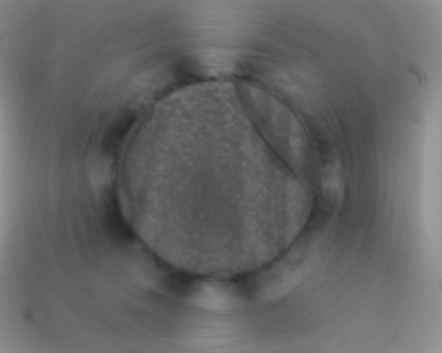 X0000113630372200910162021