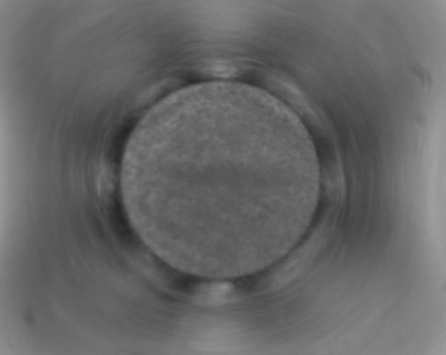 X0000113630374200910162021