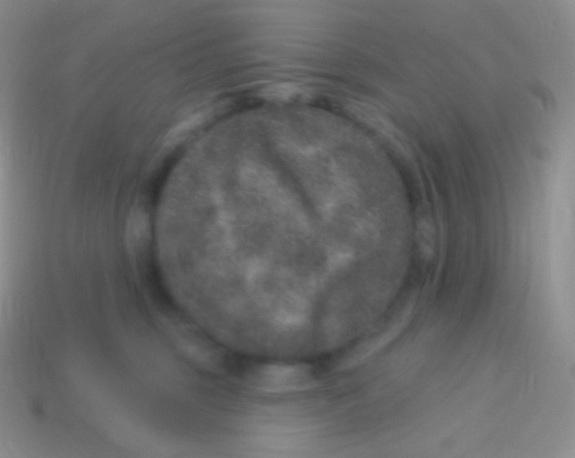 X0000113630375200910162021