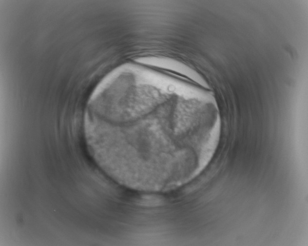 X0000113630376200910162021