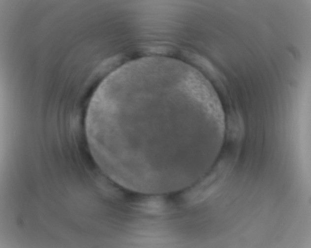 X0000113630377200910162021