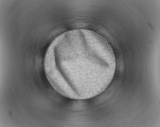 X0000113630378200910162021